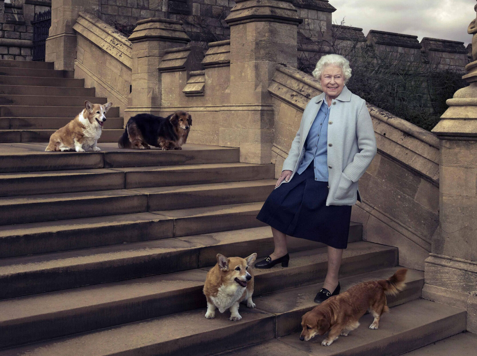 Queen's dogs